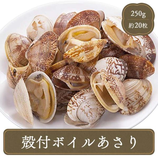 アサリ 殻付きボイルあさり【250g】 マルハニチロ 海鮮 食材 居酒屋 カラオケ店 学園祭 移動販...