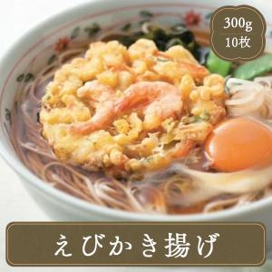 かき揚げ 海老（エビ）かき揚げ10枚 ニッスイ えび エビ 海老 業務用冷凍食品 冷凍食品 お弁当 弁当 食品 居酒屋 飲食店｜フードセレクト FBクリエイト