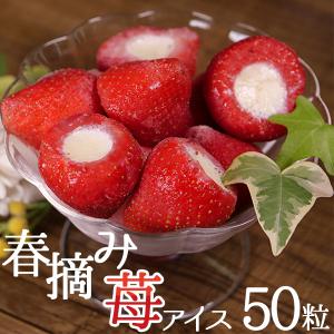 アイス おやつ 送料無料 お中元 ギフト スイーツ プレゼント 焼肉 いちご 誕生日 御配り 苺 イチゴ業務用 春摘み苺 (50粒)