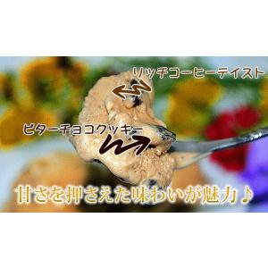 アイス 業務用アイス 森永 エスプレッソクッキ...の詳細画像3