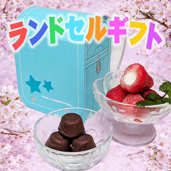 アイス スイーツ ランドセル 春摘み苺アイス＆プチチョコアイス 10粒 個包装 内祝い 入学 202...