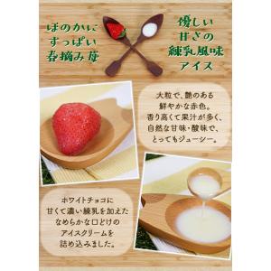 いちご 母の日 プレゼント 送料無料 お祝いギ...の詳細画像5