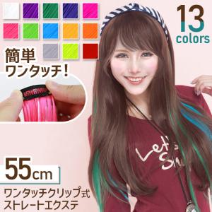 エクステ ウィッグ ロング ワンタッチ メッシュ カラー ヘア つけ毛