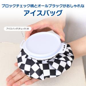 氷嚢 氷のう アイスバッグ アイシング ゴルフ...の詳細画像2