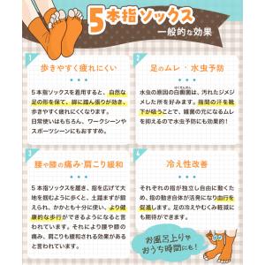 5本指ソックス レディース 指先なし 着圧 ル...の詳細画像3