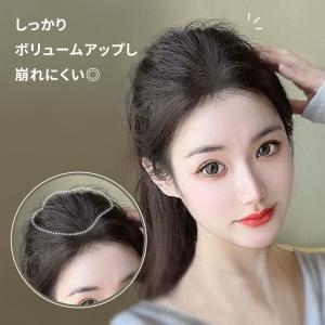 ヘアピース 白髪 薄毛 部分ウィッグ 女性 頭...の詳細画像4