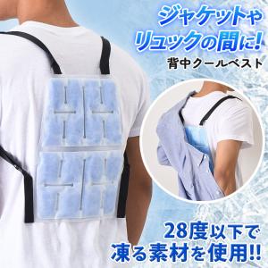 クールベスト 冷却 保冷 アイス ひんやり 密着 リュック 冷感 冷たい 涼感 涼しい 夏 熱中症対策 暑さ対策 通勤 通学 大人 子ども 屋外 仕事 背中