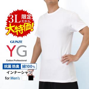 インナーシャツ アンダーシャツ Tシャツ メンズ GUNZE グンゼ 3L 激安 yg 男性下着 綿100％ コットン 半袖 肌着 スポーツ