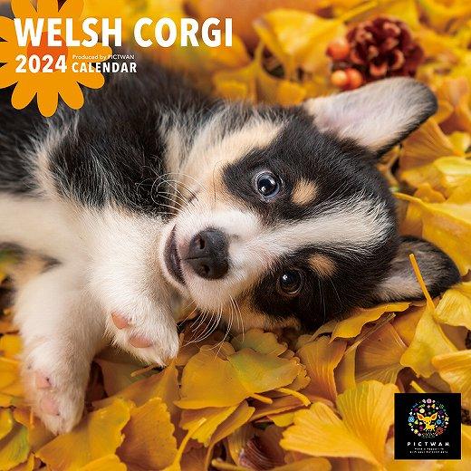 PICTWAN ウェルシュ・コーギー〔Sサイズ〕 2024年 カレンダー〔新品〕 24CL-1244