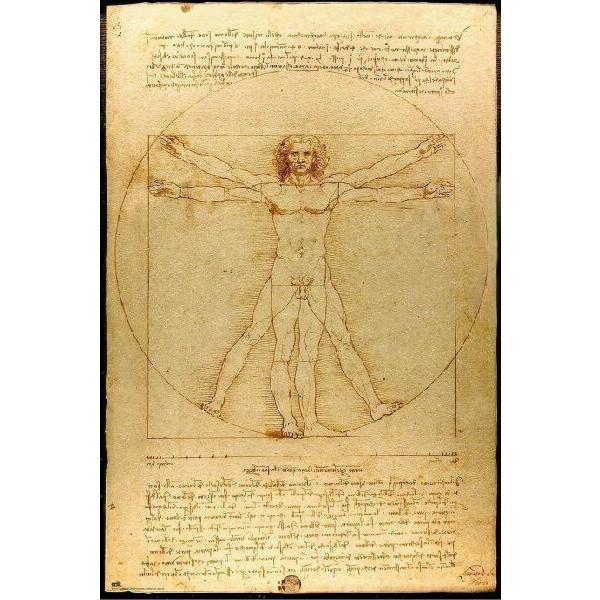 レオナルド・ダ・ヴィンチ「ウィトルウィウス的人体図」 ポスター〔新品〕 GPE-5819T