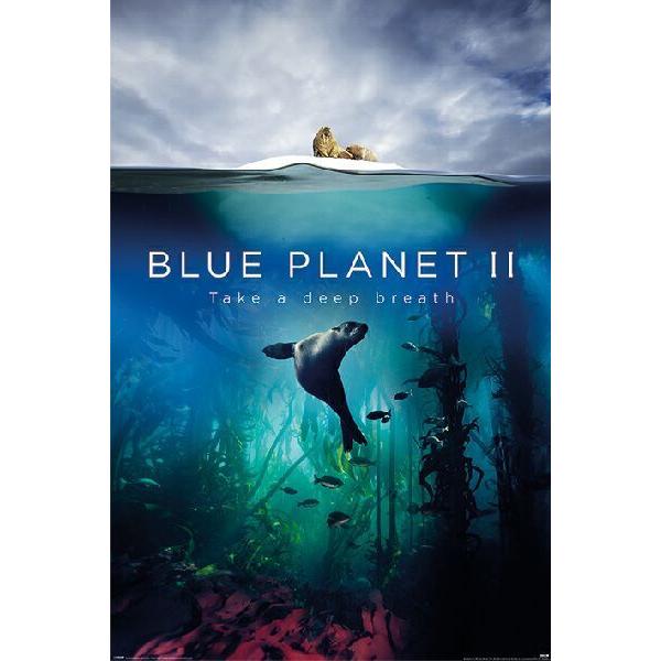 ブループラネット ポスター〔新品〕 PP-34436