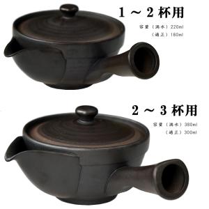 天一 常滑焼セラメッシュ急須浅型(ティーポット...の詳細画像1