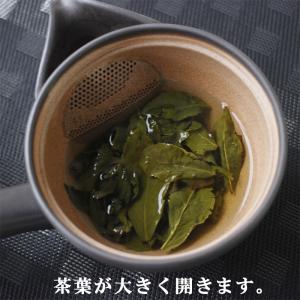 天一 常滑焼セラメッシュ急須浅型(ティーポット...の詳細画像2