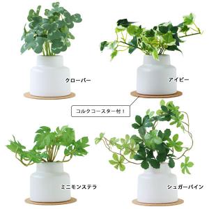 エクリア 消臭アーティフィシャルグリーン 白陶...の詳細画像1