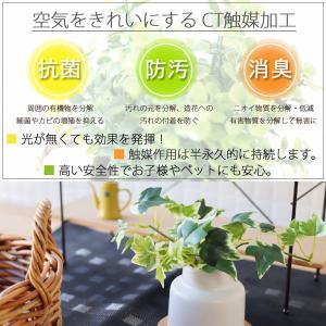 エクリア 消臭アーティフィシャルグリーン 白陶...の詳細画像2