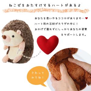 Dreams ドリームズ ふんばるずL(姿勢 ...の詳細画像4