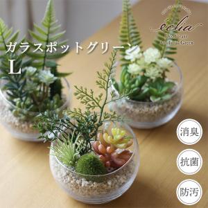 エクリア 消臭アーティフィシャルグリーン ガラスポット Lサイズ（観葉植物 造花 フェイクグリーン 多肉植物 サキュレント 寄せ植え インテリア）