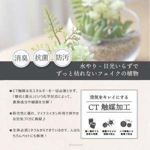 エクリア 消臭アーティフィシャルグリーン ガラ...の詳細画像2
