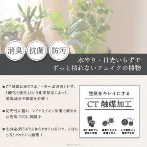 エクリア 消臭アーティフィシャルグリーン コー...の詳細画像2