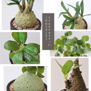 エクリア 消臭アーティフィシャルグリーン コー...の詳細画像3