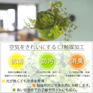 エクリア 消臭アーティフィシャルグリーン 多肉...の詳細画像2