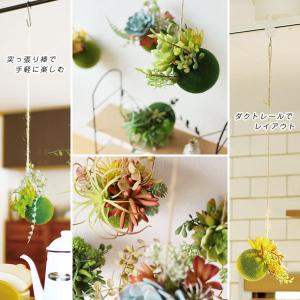 エクリア 消臭アーティフィシャルグリーン 多肉...の詳細画像4