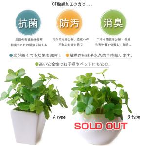 クローバーアーティフィシャルグリーン(消臭グッ...の詳細画像1