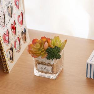 エクリア 消臭アーティフィシャルグリーン 多肉...の詳細画像2