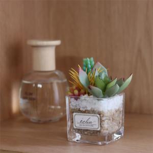 エクリア 消臭アーティフィシャルグリーン 多肉...の詳細画像3