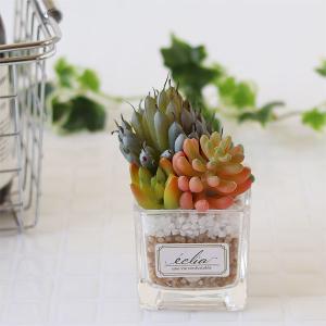 エクリア 消臭アーティフィシャルグリーン 多肉...の詳細画像4