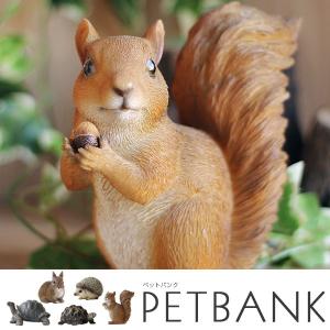 PET BANK・ペットバンク（貯金箱 magnet コインバンク 兎 針鼠 亀 りす フィギュア 動物 雑貨）