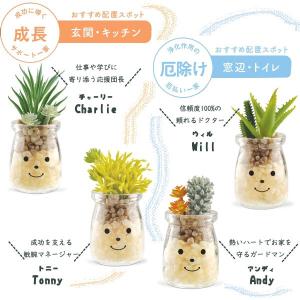 ファミーユ 消臭アーティフィシャルグリーン(植...の詳細画像1