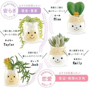 ファミーユ 消臭アーティフィシャルグリーン(植...の詳細画像2