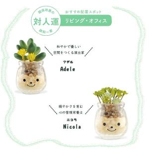 ファミーユ 消臭アーティフィシャルグリーン(植...の詳細画像3