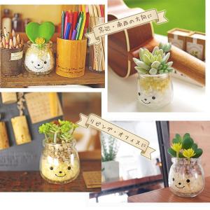 ファミーユ 消臭アーティフィシャルグリーン(植...の詳細画像5