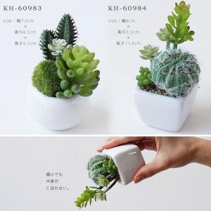 サキュレントリフレリウム 消臭アーティフィシャ...の詳細画像1