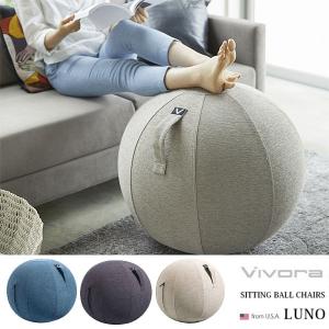 セントラルスポーツ 監修 コアチェア / バランスボール ストレッチ