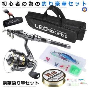 船釣り リール 2個セット 釣りセット 初心者 釣り道具 伸縮式釣竿2本＋スピニングリール2個