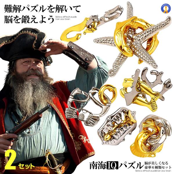 知恵の輪 6種類入り 2セット 脳が美しくなる IQ 南海パズル 立体パズル 脳トレ 謎解き 子供 ...