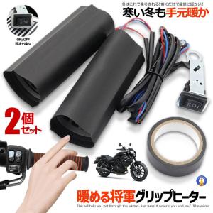 アルテッツァ 10 系 LED イカリング プロジェクター ヘッドライト