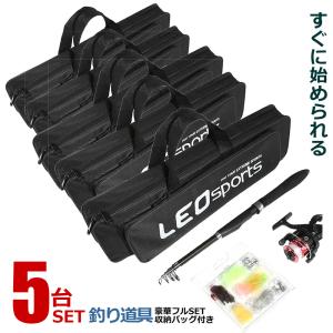 釣りセット 釣り道具 初心者 5点セット ロッド 収納バッグ ルアー
