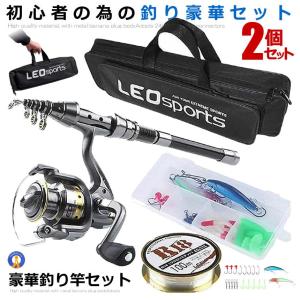 釣りセット 初心者 釣り道具 伸縮式釣竿2本＋スピニングリール2個