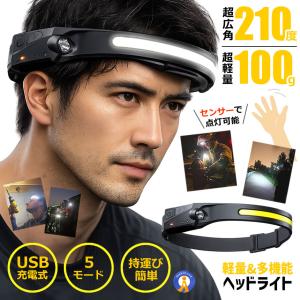 ヘッドライト 超広角 照射 充電式 USB LED デュアル ヘッドランプ 5種