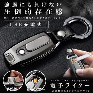 電子ライター USB充電 キーリング キーホルダー ライト 防風 ライター 懐中電灯 照明 LED プラズマライター 持ち運び簡単 アウトドア 釣り 登山 便利 RINTUKI