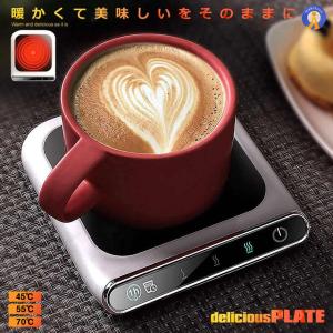 送料無料 タイジ TAIJI 業務用 カップウォーマー DA-300G （R