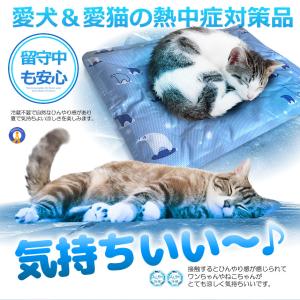 2枚セット 冷感 マット ペット 犬 猫 冷感...の詳細画像4