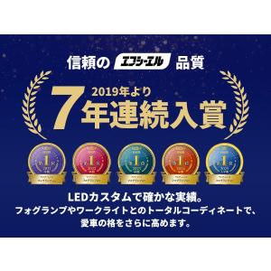 グリルマーカーテープ ボンネットライト 車 l...の詳細画像2