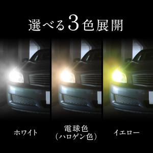 D4R D4S D2R D2S hid led...の詳細画像2