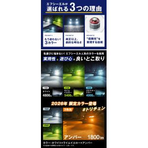 l1b フォグランプ 3色切り替え led イ...の詳細画像4