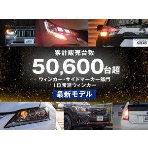 t20 ピンチ部違い s25 ピン角違い le...の詳細画像5